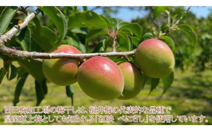 昔ながらの梅干し 一級品（福井県若狭町）伝統製法にこだわり仕上げた無添加・無着色の梅干し／ケース入り800g ご飯のお供 肉厚 種が小さい 紅映 天然塩 鮮やか 芳醇な香り コク 紫蘇漬け 二度漬け すっぱい 