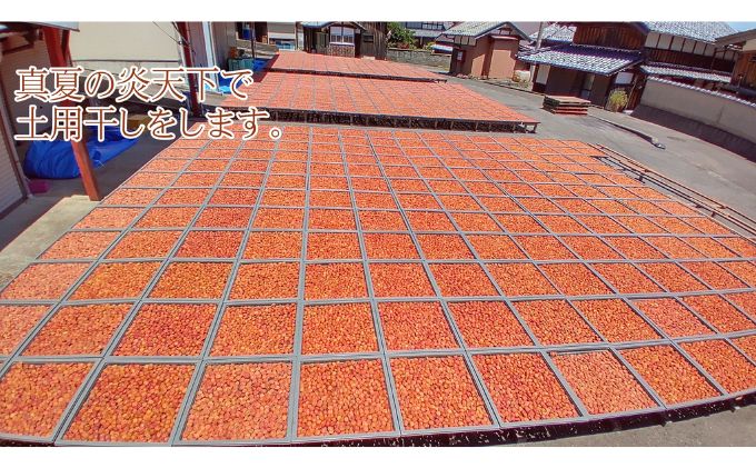 昔ながらの梅干し 一級品（福井県若狭町）伝統製法にこだわり仕上げた無添加・無着色の梅干し／ケース入り800g ご飯のお供 肉厚 種が小さい 紅映 天然塩 鮮やか 芳醇な香り コク 紫蘇漬け 二度漬け すっぱい 