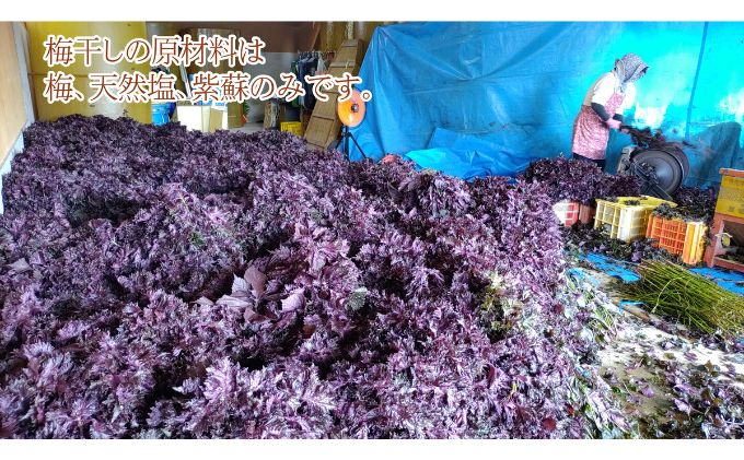 昔ながらの梅干し 一級品（福井県若狭町）伝統製法にこだわり仕上げた無添加・無着色の梅干し／ケース入り400g ご飯のお供 肉厚 種が小さい 紅映 天然塩 鮮やか 芳醇な香り コク 紫蘇漬け 二度漬け すっぱい 