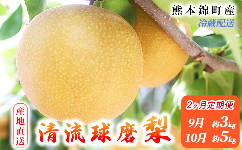 定期便 2回 先行予約 梨 清流錦 あきづき 9月 3kg 新興 10月 5kg フルーツ なし ナシ 果物 デザート 秋月 お楽しみ2026年発送 配送不可:離島 