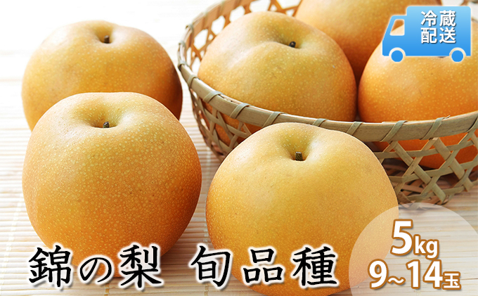 �y�F�{���ђ��z�� 5kg ��s�\�� �т̗� ��9�ʁ`14�� �t���[�c �Ȃ� �i�V �ʕ� �f�U�[�g 2026�N���� �×��_�� �z���s��:����