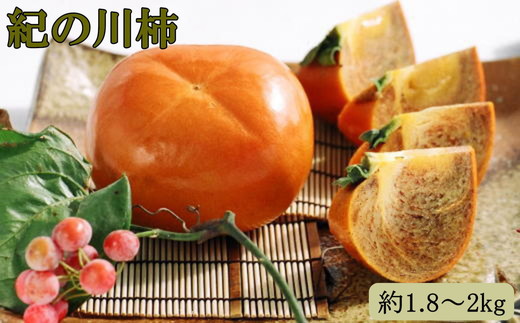 【希少】紀の川柿約1.8～2kg（種無し）秀選品