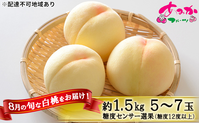 【岡山県赤磐市】桃 2026年 先行予約 8月の旬な 白桃 をお届け!約1.5kg 5〜7玉 糖度センサー選果 糖度12度以上 もも モモ 岡山県 赤磐市産 国産 フルーツ 果物 ギフト あみかフルーツ