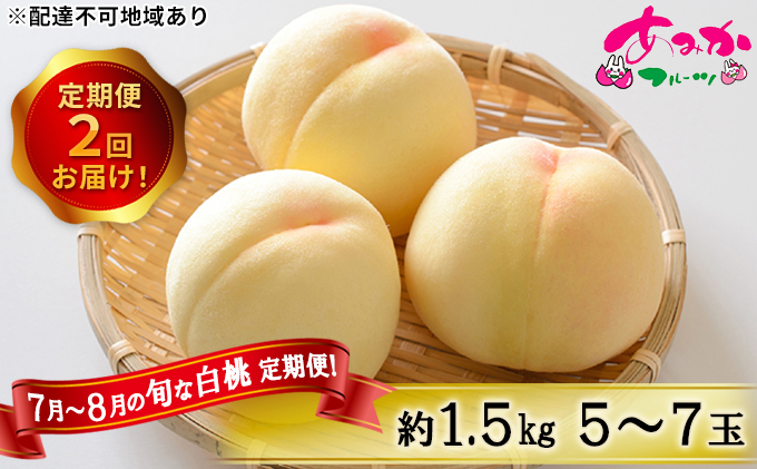 【岡山県赤磐市】桃 定期便 2026年 先行予約 7月〜8月 の旬な 白桃 定期便!約1.5kg 5〜7玉 2回お届け! もも モモ 岡山県 赤磐市産 国産 フルーツ 果物 ギフト あみかフルーツ 柔らかい ジューシー