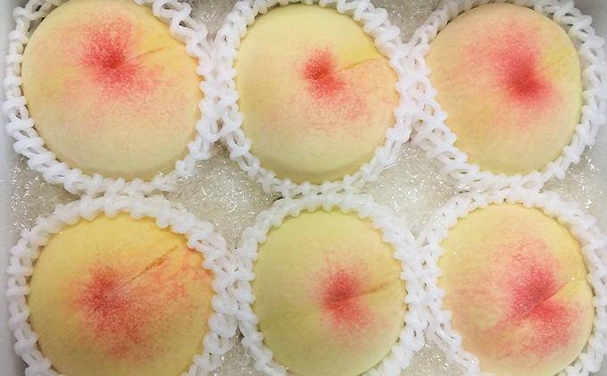 桃 定期便 2026年 先行予約 6月～11月 の旬な 白桃 定期便！約1.5kg 5～7玉 6回お届け！ もも モモ 岡山県 赤磐市産 国産 フルーツ 果物 ギフト あみかフルーツ 柔らかい ジューシー 少し固め 甘み 