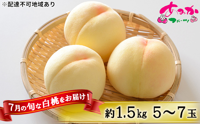 【岡山県赤磐市】桃 2026年 先行予約 7月の旬な 白桃 をお届け!約1.5kg 5〜7玉 もも モモ 岡山県 赤磐市産 国産 フルーツ 果物 ギフト あみかフルーツ 岡山の桃 旬のフルーツ 柔らかい ジューシー 産地直送 旬の桃