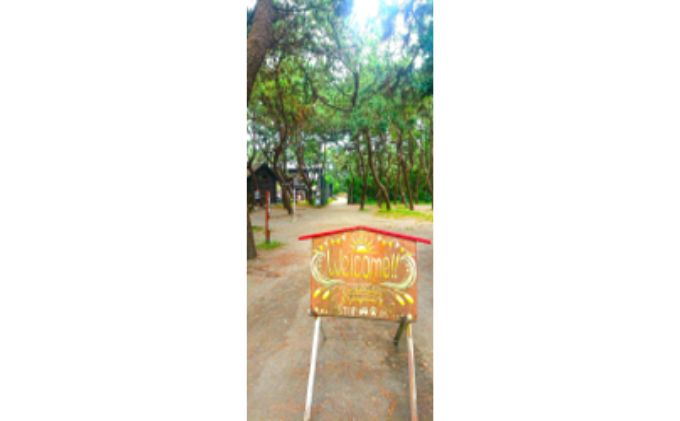 ちがさき柳島キャンプ場 セットアップテントで森林浴キャンプ アウトドア キャンプ場利用券 初心者 気軽 設置済テント BBQ 海岸遊び 焚火 テーブル付き タープ付き 5名用テント 日帰り 宿泊 