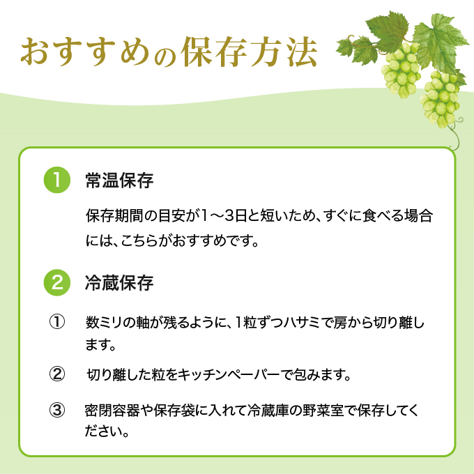 ぶどう 2026年 先行予約 ご家庭用 シャイン マスカット 晴王 優品 2房入り（1房 530g以上 露地栽培） ブドウ 葡萄  岡山県産 国産 フルーツ 果物 岡山の葡萄 