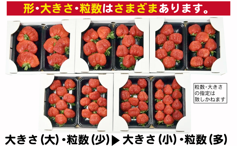あまおう G以上 約1.04kg 約260g×4パック ※配送不可：北海道・東北・沖縄・離島 果物 苺 フルーツ デザート 旬 大粒 グランデ等級以上 旬のあまおう 福岡の特産品 