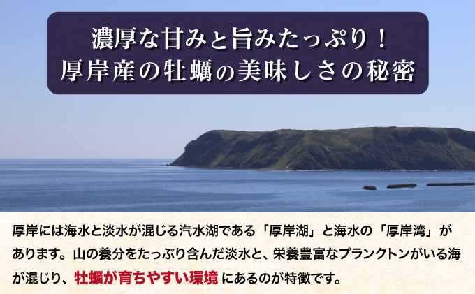 北海道厚岸産 殻かき三種 食べ比べ お試し セット　牡蠣 生食 生牡蠣 貝付き牡蠣 貝 海鮮 魚介類 殻付き牡蠣 