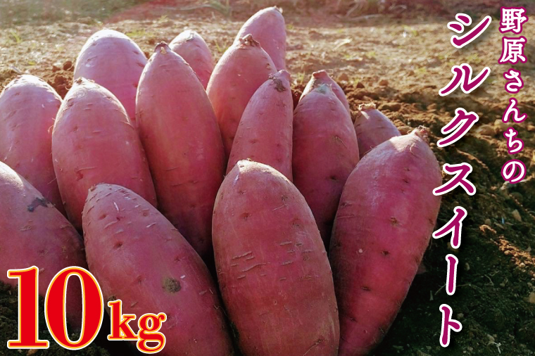 【茨城県行方市】【2026年1月中旬より順次発送】野原さんちのシルクスイート 約10kg|芋 さつまいも サツマイモ お芋 いも シルクスイート 期間限定 先行予約 茨城県 行方市(EL-4)