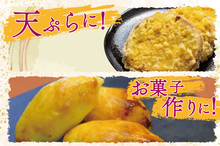 【2026年1月中旬より順次発送】野原さんちのシルクスイート 約10kg｜芋 さつまいも サツマイモ お芋 いも シルクスイート 期間限定 先行予約 茨城県 行方市(EL-4)