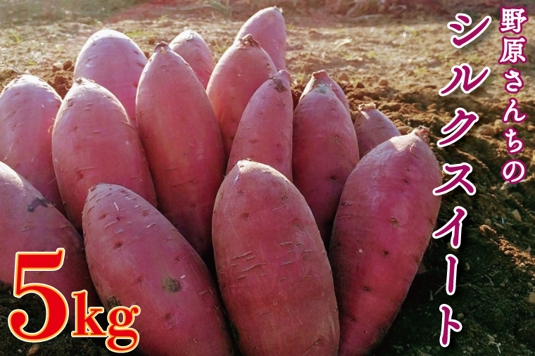 【茨城県行方市】【2026年1月中旬より順次発送】野原さんちのシルクスイート 約5kg|芋 さつまいも サツマイモ お芋 いも シルクスイート 期間限定 先行予約 茨城県 行方市(EL-3-1)