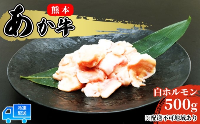 【熊本県錦町】あか牛 赤牛 熊本 和牛 肥後 赤牛 白ホルモン 500g (250g×2パック) 牛肉 肉 お肉 配送不可:離島 牛ホルモン 国産 日本産 熊本県産 柔らかい 食感 ぷりぷり ホルモン焼き もつ鍋 もつ煮込 鍋料理 冬 つまみ