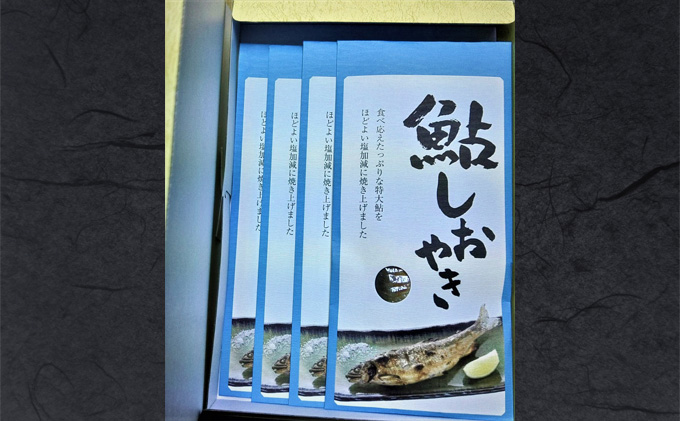鮎しおやきセット 魚貝類 加工品 水産加工品 惣菜 つまみ おかず ご飯のお供 手軽 簡単調理 温めるだけ 特大鮎 魚料理 焼き魚 鮎の塩焼き 