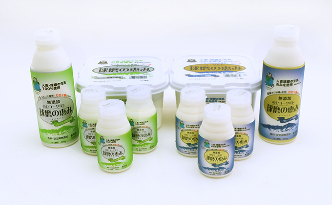 球磨酪農おすすめ！球磨の恵み ヨーグルト 詰合せ セット ヨーグルト1kg×2個・のむヨーグルト（450g×2本・150g×6本）※配送不可：沖縄・離島 乳製品 ヨーグルトドリンク 生乳100% 熊本県産 朝ご飯 発酵食品 健康 腸内環境 乳酸菌 