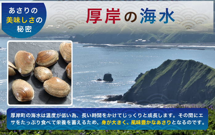あさり 北海道 厚岸産 北海あさり 2kg (500g×4パック) 砂出し