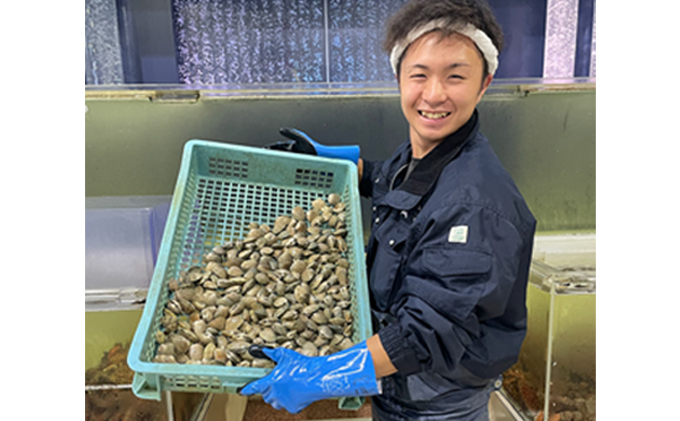 砂出し済み！ 北海道 厚岸産 北海あさり 2kgお届け (500g×4パック) 【 3ヵ月 定期便 】 (各回2kg×3ヶ月分,合計約6kg)  