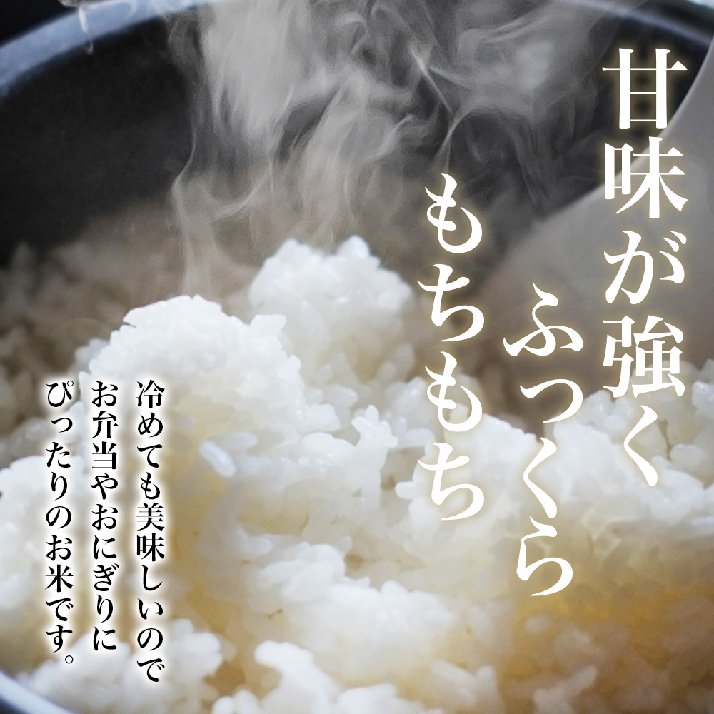 奈良県葛城市のふるさと納税 【令和7年産米】無洗米 奈良県産 ヒノヒカリ 10kg（5kg×2袋）／ 新米 全農パールライス 米 お米 白米 国産 奈良県 葛城市 こめ コメ ライス ご飯 ごはん ふっくら もちもち つやつや おいしい 美味しい 贈り物 国産 特産品 産地直送 数量限定 人気 おすすめ 10キロ 【prr002A】