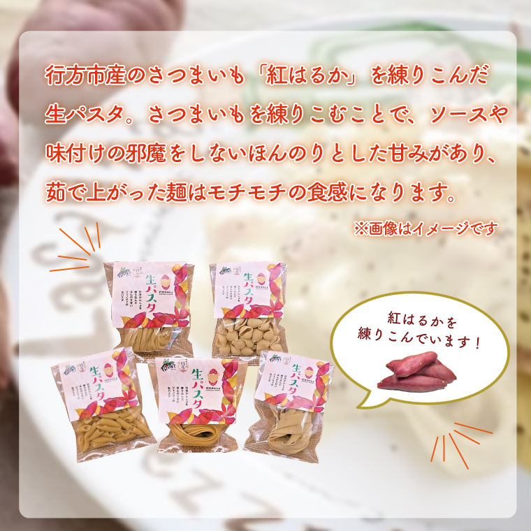 茨城県行方市のふるさと納税 CJ-18 【行方市産さつまいも紅はるか使用】 生パスタ5種（計10食分）＆トマトソース5袋
