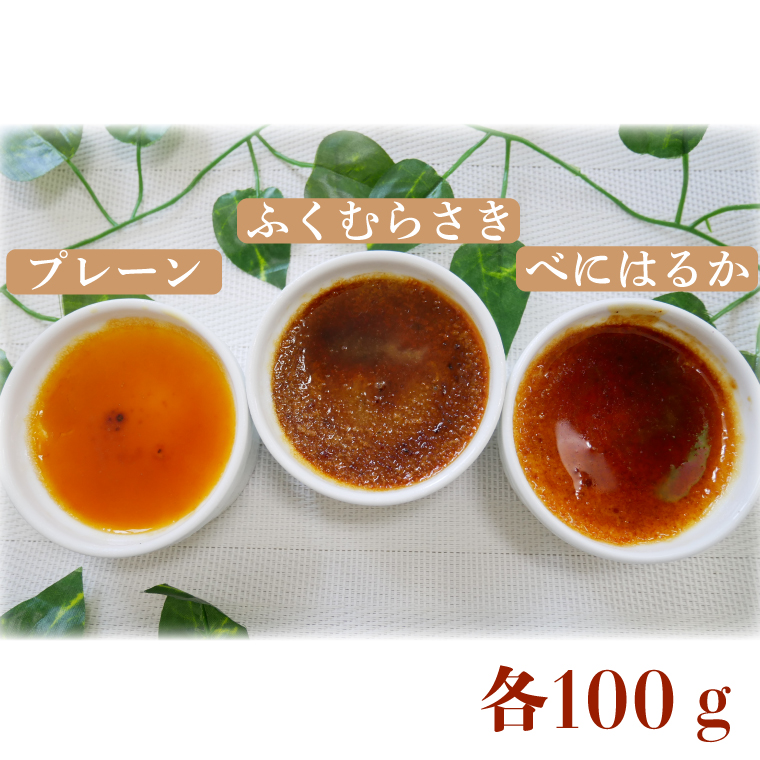 CJ-19 カタラーナ（プレーン・ふくむらさき・紅はるか）３種×２個入り