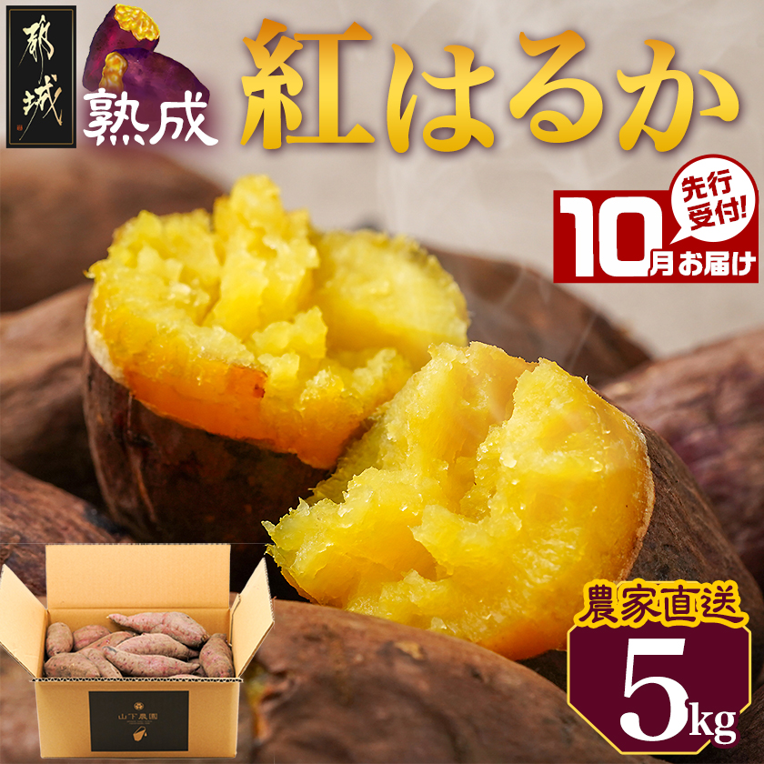 先行受付![10月お届け][農家直送]山下農園 熟成紅はるか 5kg