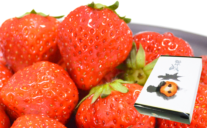 香川県綾川町のふるさと納税 【1月から順次発送】さぬきひめ苺（化粧箱入り） 果物類 いちご イチゴ