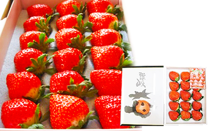 香川県綾川町のふるさと納税 【1月から順次発送】さぬきひめ苺（化粧箱入り） 果物類 いちご イチゴ