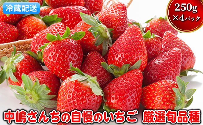 熊本県錦町のふるさと納税 いちご 先行予約 中嶋さんちの自慢のいちご 約250g×4パック 配送不可 離島 イチゴ 苺 フルーツ 果物