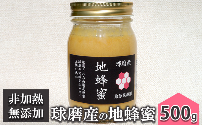 【熊本県錦町】はちみつ 無添加 非加熱 希少 球磨産  地蜂蜜 500g×1本 加工食品
