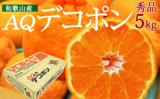 DN6012n_【2026年先行予約】和歌山県産 AQ デコポン 5kg 秀品 (12～24玉)