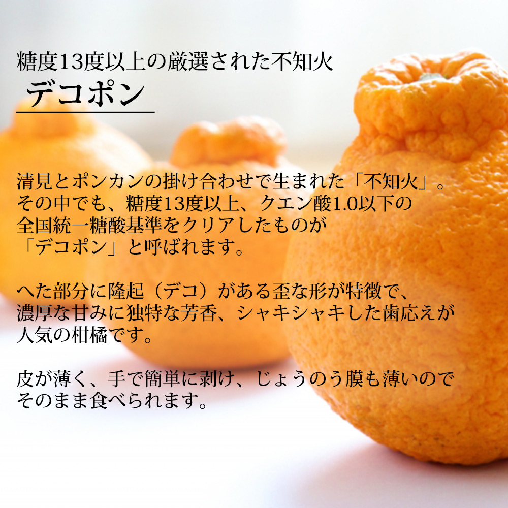 DN6012n_【2026年先行予約】和歌山県産 AQ デコポン 5kg 秀品 (12～24玉)