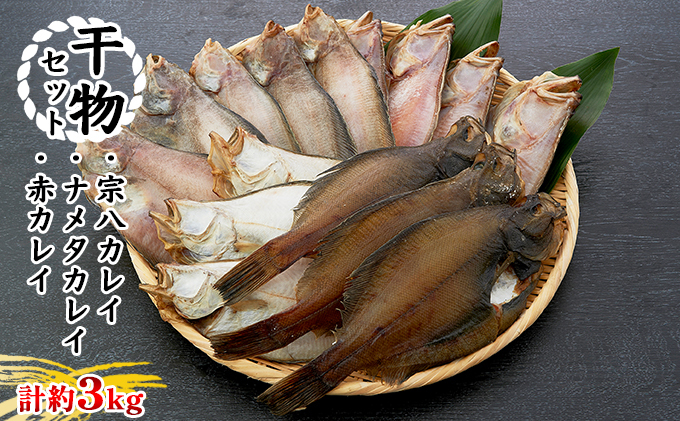 干物セット ふぞろいな仲間たち 魚貝類 加工食品 