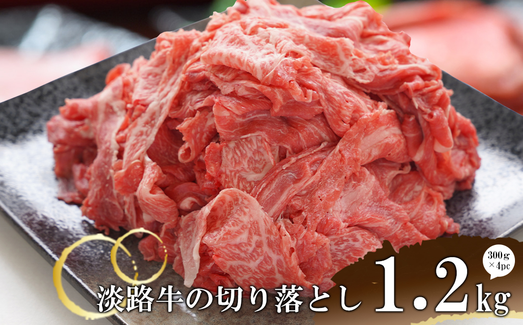 yɌWHszWH̐؂藎Ƃ1.2kgi300×4pbN)@@[ؗ ؂藎 肨Ƃ Y ]