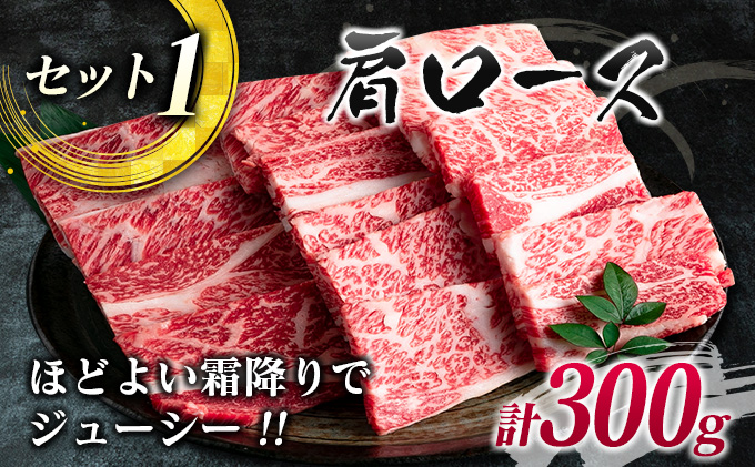 宮崎県日南市のふるさと納税 数量限定 宮崎牛 3種 お試し 焼肉 セット 合計900g 牛肉 ビーフ 肩ロース バラ モモ 黒毛和牛 ミヤチク 国産 ブランド牛 食品 高級 贅沢 上質 ご褒美 バーベキュー BBQ 鉄板焼き お祝 詰め合わせ お取り寄せ グルメ おかず おすすめ 宮崎県 日南市 送料無料_DC27-25