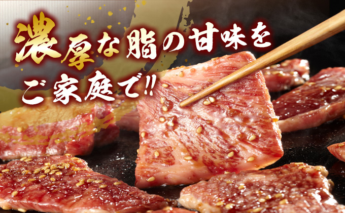 宮崎県日南市のふるさと納税 数量限定 宮崎牛 3種 お試し 焼肉 セット 合計900g 牛肉 ビーフ 肩ロース バラ モモ 黒毛和牛 ミヤチク 国産 ブランド牛 食品 高級 贅沢 上質 ご褒美 バーベキュー BBQ 鉄板焼き お祝 詰め合わせ お取り寄せ グルメ おかず おすすめ 宮崎県 日南市 送料無料_DC27-25