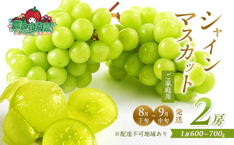 yRԔ֎szԂǂ 2026N s\ ƒp VC }XJbg 2[ 1[600g`700g 8{`9{ uhE  t[c ʕ R Ԕ֎sY _}| _