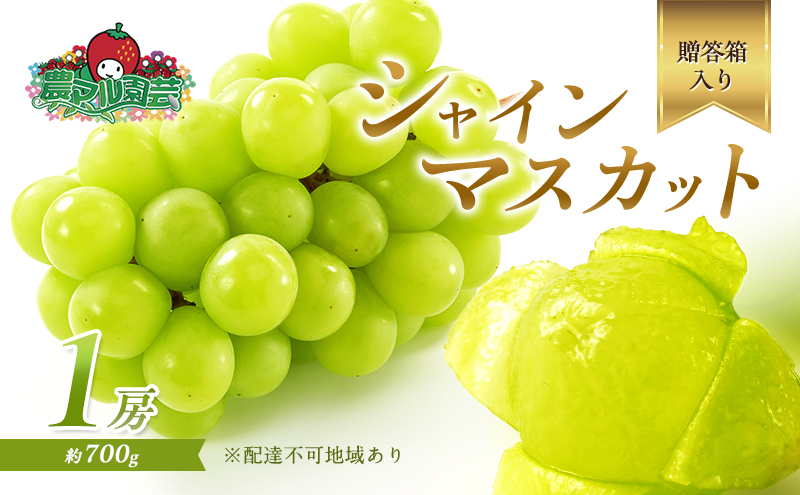 �y���R���Ԕ֎s�z�Ԃǂ� 2026�N ��s�\�� �V���C�� �}�X�J�b�g 1�[ ��700g ������ �u�h�E ���� �t���[�c �ʕ� ���R �Ԕ֎s�Y �_�}�����| ��������_�� �ʕ��� �V���C���}�X�J�b�g