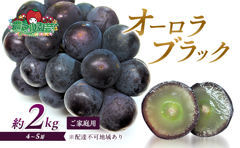 ぶどう 2025年 先行予約 オーロラブラック 約2kg 4～5房 ご家庭用 ブドウ 葡萄 フルーツ 果物 岡山 赤磐市産 農マル園芸 あかいわ農園 種なし 大粒 高糖度 