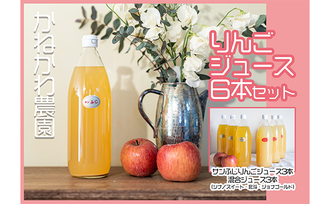 りんごジュース6本セット 飲料 果汁飲料 フルーツジュース 飲み物 ドリンク 100％りんごジュース サンふじ シナノスイート 北斗 ジョナゴールド ブレンド 