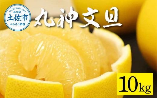 森田さん家の丸神（神谷）文旦（約10kg入り・2Lから5Lサイズ）