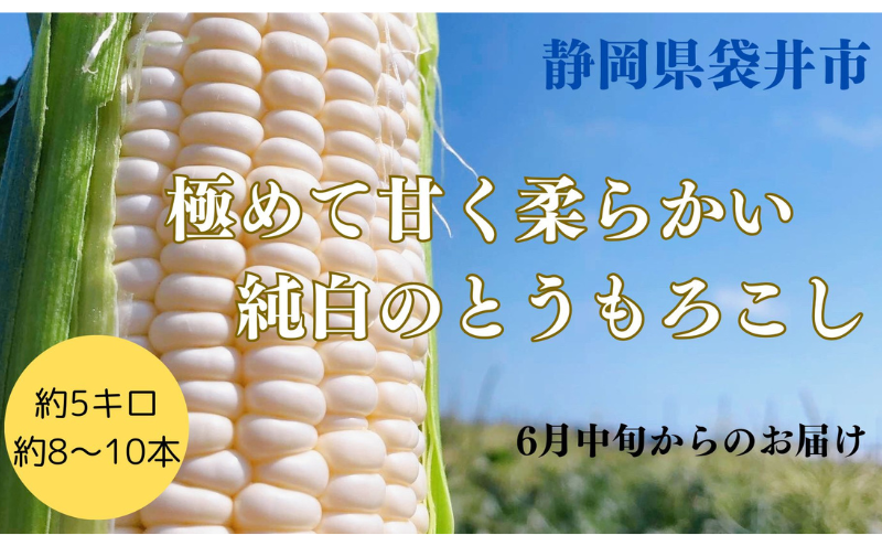 yÉ܈szys\z?ɂ?Ɖʏ`  Ƃ낱   R[ gERV ̂ꂽ VN  N wV[ lC I ܈s