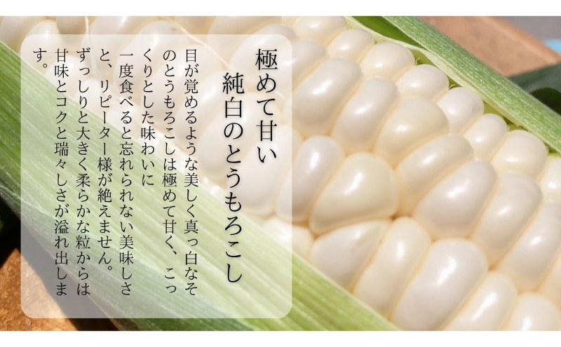 【先行予約】?極の?さと果汁 白いとうもろこし おすすめ コーン トウモロコシ 採れたて 新鮮 健康 ヘルシー 人気 厳選 袋井市