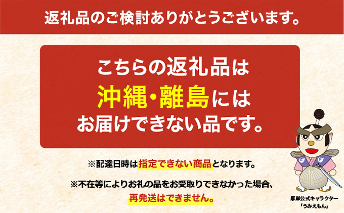  季節限定 北海道 厚岸産 浜茹で 北海しまえび（大サイズ）500g×1パック 海老 エビ 新鮮 浜ゆで おつまみ 味噌汁 