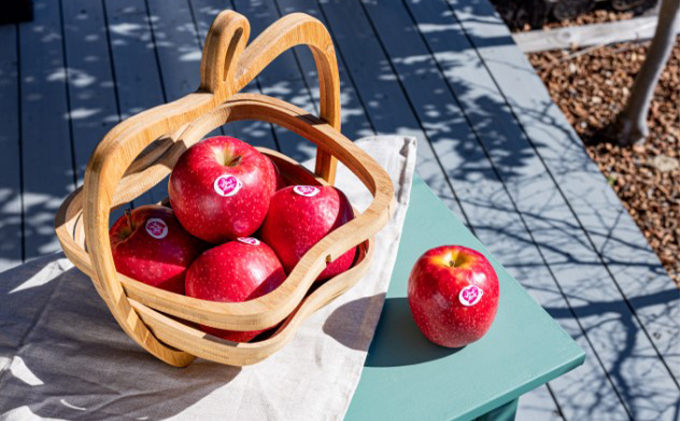 中松井農園 ピンクレディー約3kg 12～15玉 果物 フルーツ りんご 長野県産 信州 信州のリンゴ 酸味 小ぶり 芳醇 風味 クッキングアップル デザート 食後 爽やかな酸味 希少
