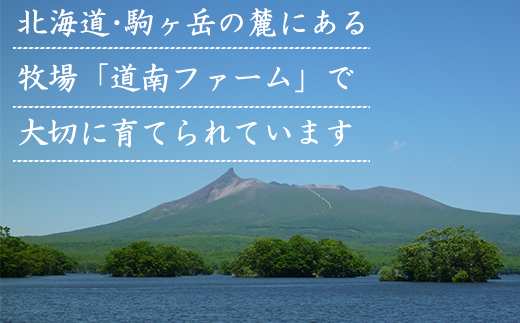 【旨みあふれる良質な赤身！】北海道産 鹿部牛 肩ロース スライス 500g
