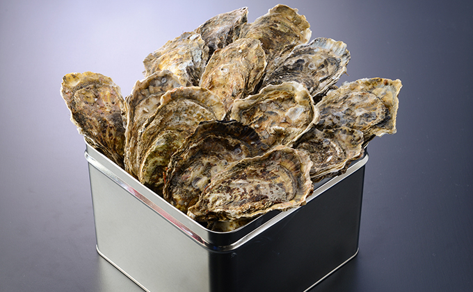 厚岸町 牡蠣 お楽しみ 6ヵ月 定期便 魚貝類 生牡蠣 加工食品 むきかき かきごはんの素 カレー 殻牡蠣 燻製 佃煮 かきラーメン 塩辛 牡蠣の剥き身 海の幸 ご飯のお供 つまみ レトルトカレー 