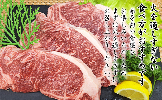 【旨みあふれる良質な赤身！】北海道産 鹿部牛 サーロインステーキ 600g 牛肉 ステーキ 赤身肉 国産牛肉 サーロイン 道産牛肉 サーロイン
