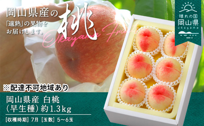 桃 2025年 先行予約 白桃 早生種 約1.3kg  5～6玉 もも モモ 岡山県産 国産 フルーツ 果物 ギフト 