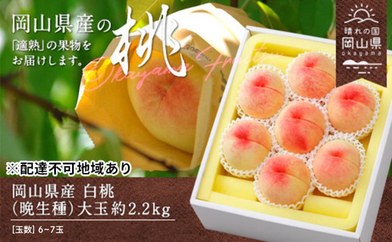 【岡山県瀬戸内市】桃 2026年 先行予約 白桃 晩生種 大玉 約2.2kg 6〜7玉 もも モモ 岡山県産 国産 フルーツ 果物 ギフト